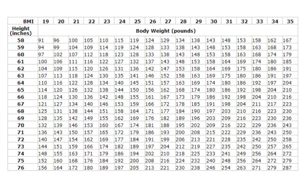 Calculate Your BMI AIBI Malaysia