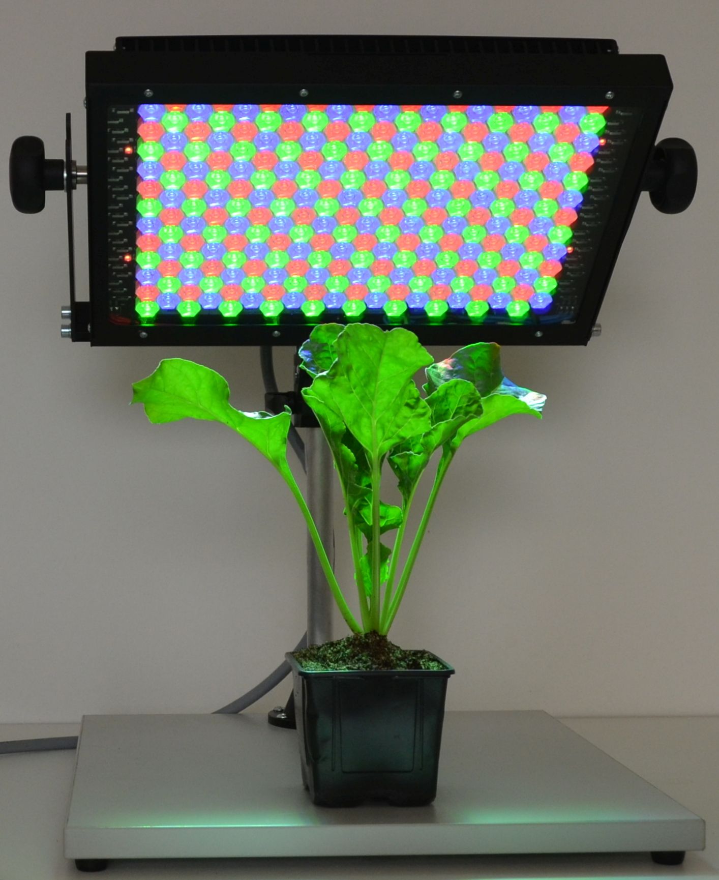 LED Panel and Growth Chamber AIB Lifescience