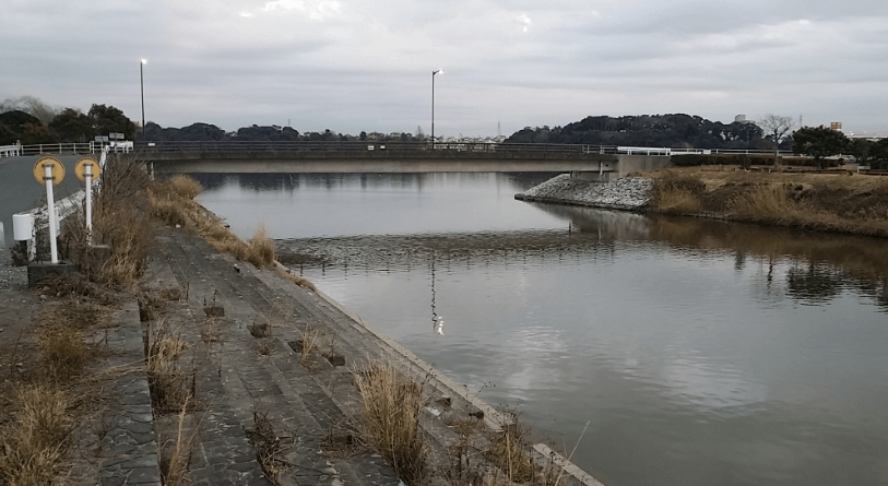 【浜松市】佐鳴湖の釣り場・ポイント情報