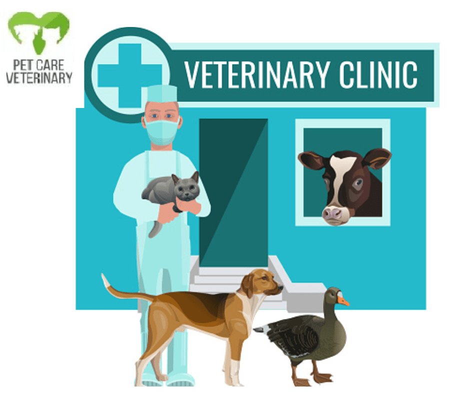 Pet Care Vet Clinic PetClinic