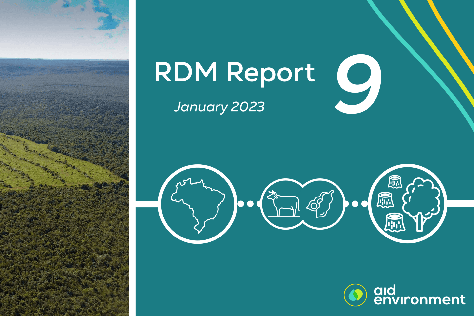 Realtime Deforestation Monitoring Report (RDM 9) January 2023