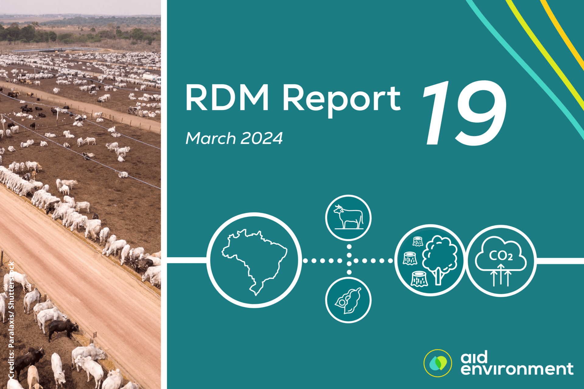 Realtime Deforestation Monitoring Report (RDM 19) March 2024