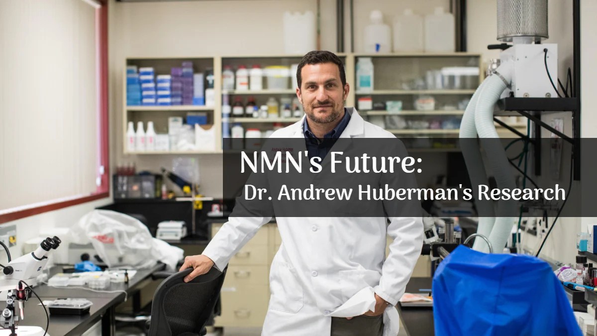 NMN Supplements’ Future Dr. Andrew Huberman's Research And Developement AIDEVI NMN Shop