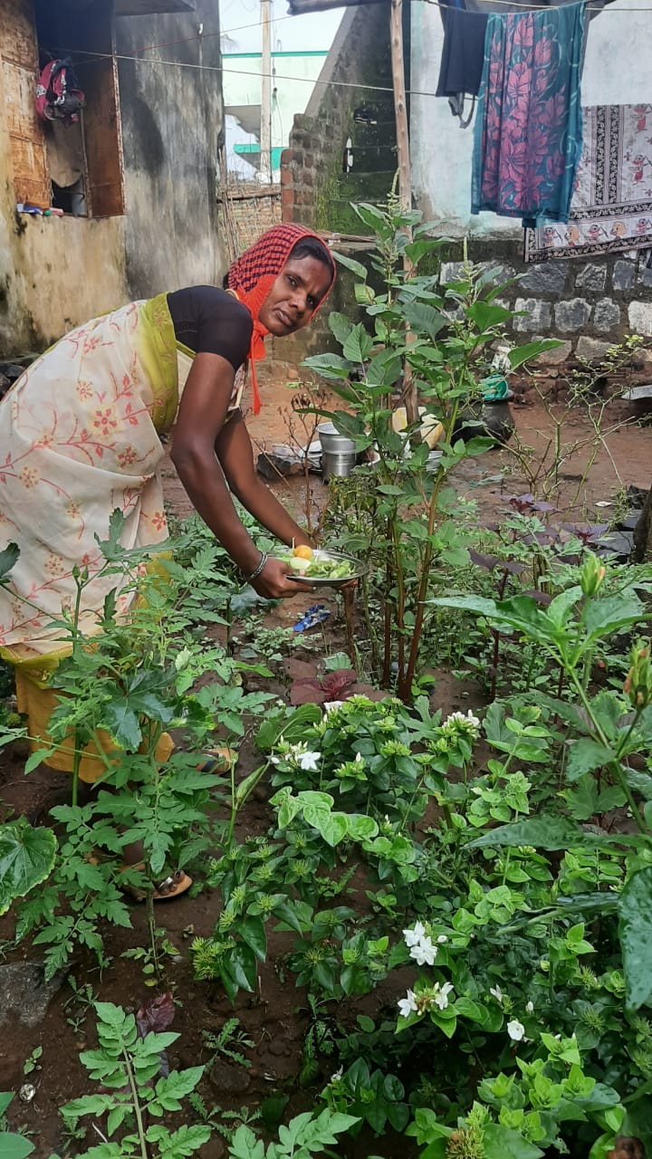 Kitchen gardens in rural Tamil Nadu AID