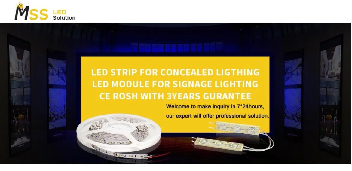 Top 10 LED Strip Light Manufacturers in China LED Lights Manufacturer