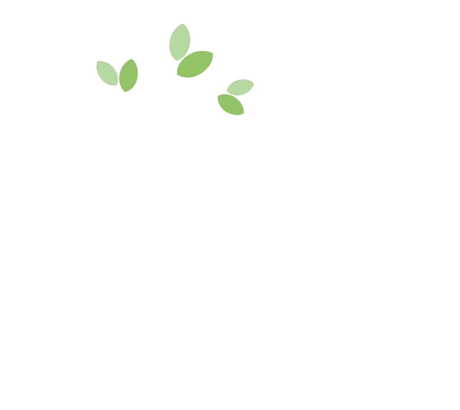 Corso Cyber Security - Aief - Sicurezza Informatica Online 1696_x_1904_png