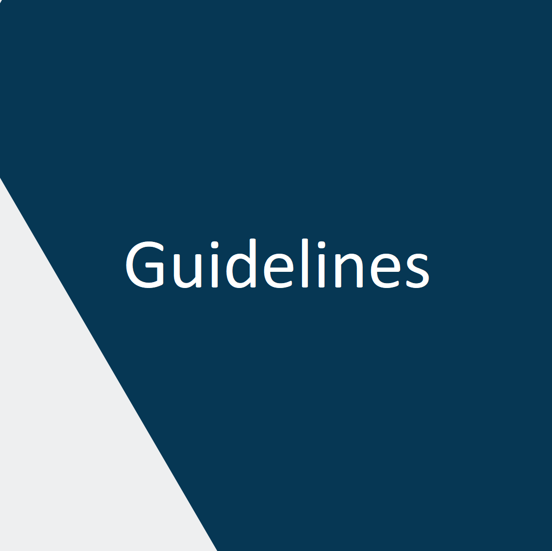 Guidelines Australasian Institute of Judicial Administration