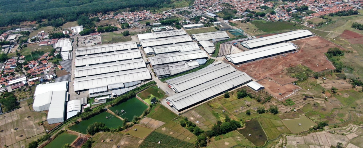 TKG COMPANY 기업정보 TKG AIKANG