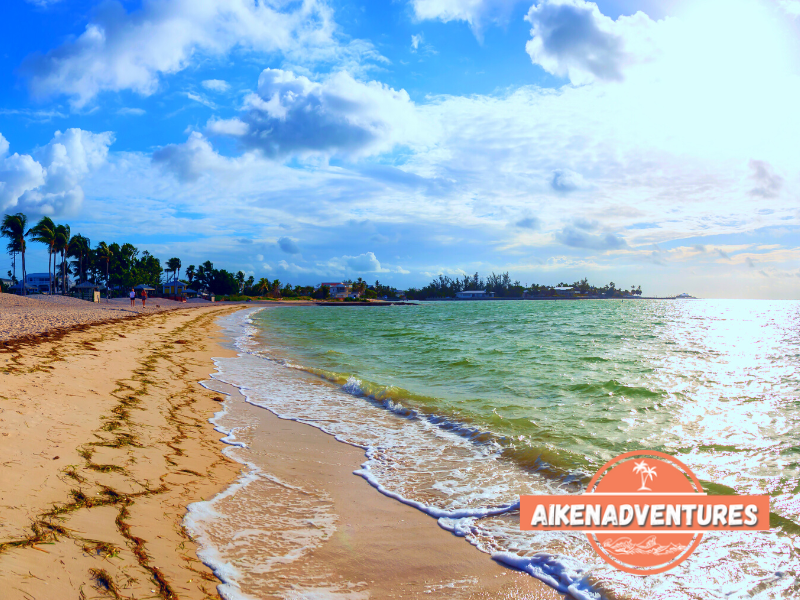 Best Things To Do in Marathon and Islamorada Aiken Adventures