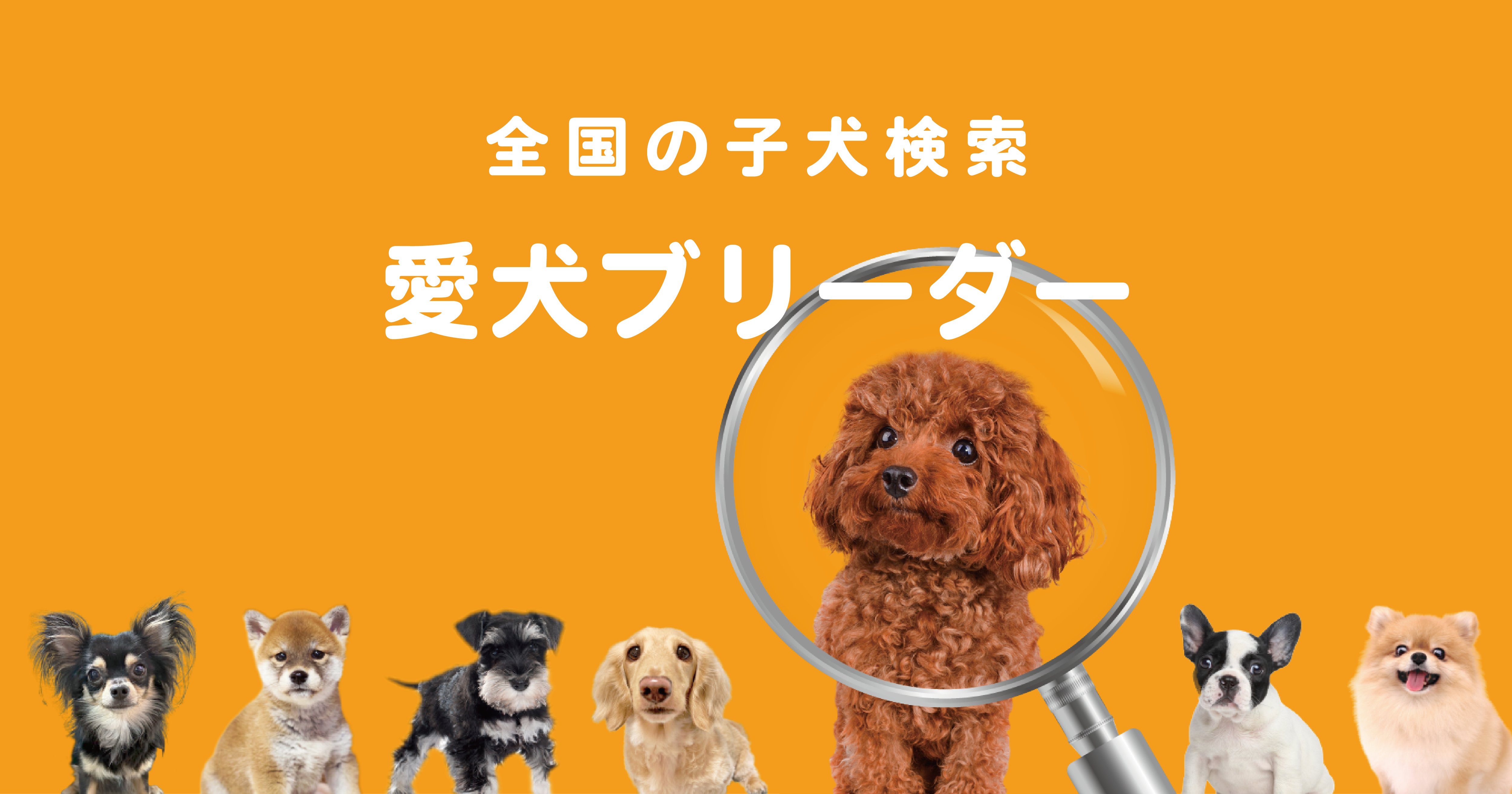 抜け毛の少ない犬15選！小型犬・中型犬・大型犬のおすすめ犬種を紹介｜愛犬ブリーダー