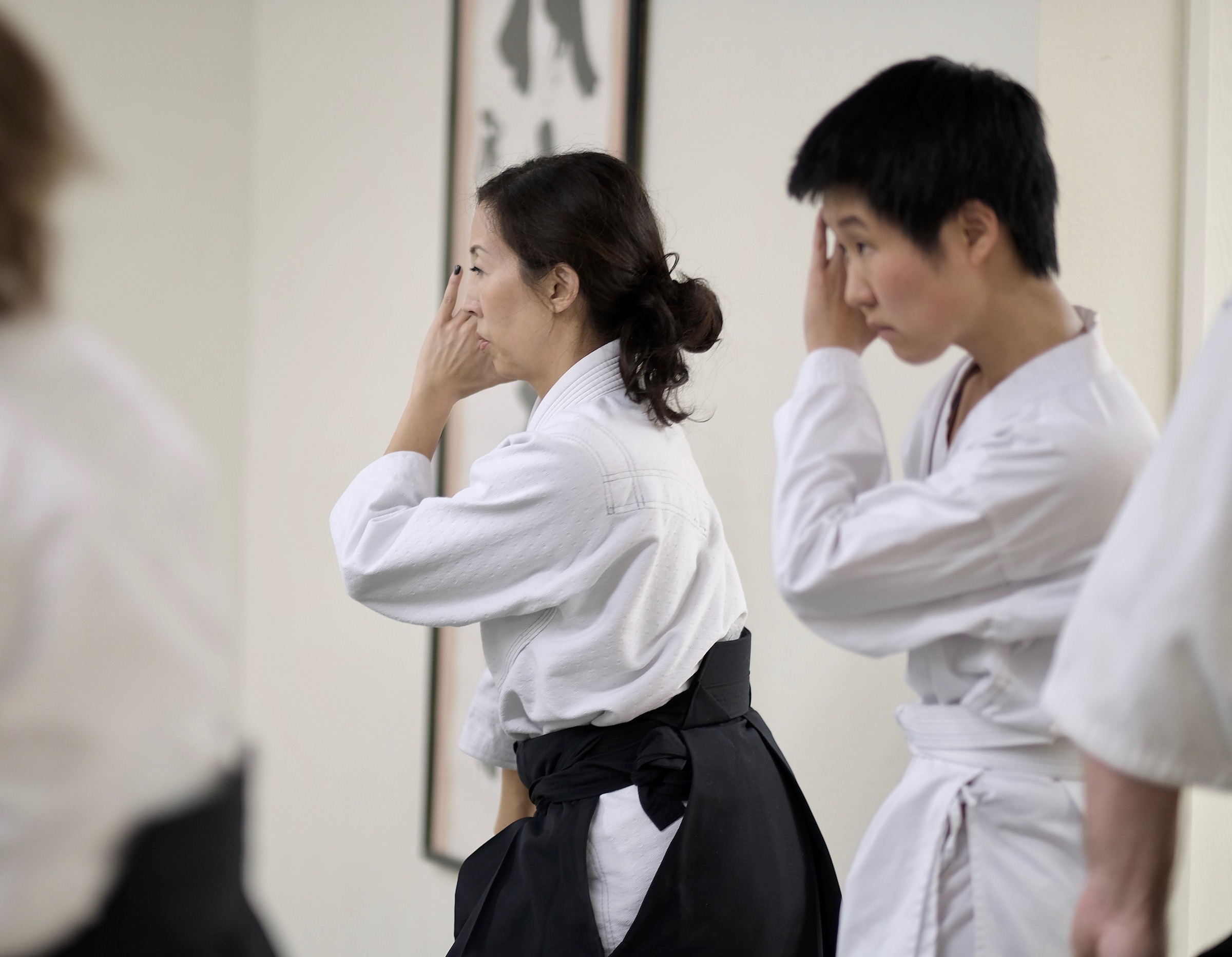 Why the World Needs Aikido, A Millennial’s Perspective Aikido Journal