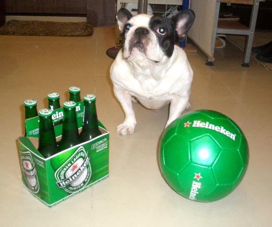 【傑西與咪】ＦＩＦＡ傑西