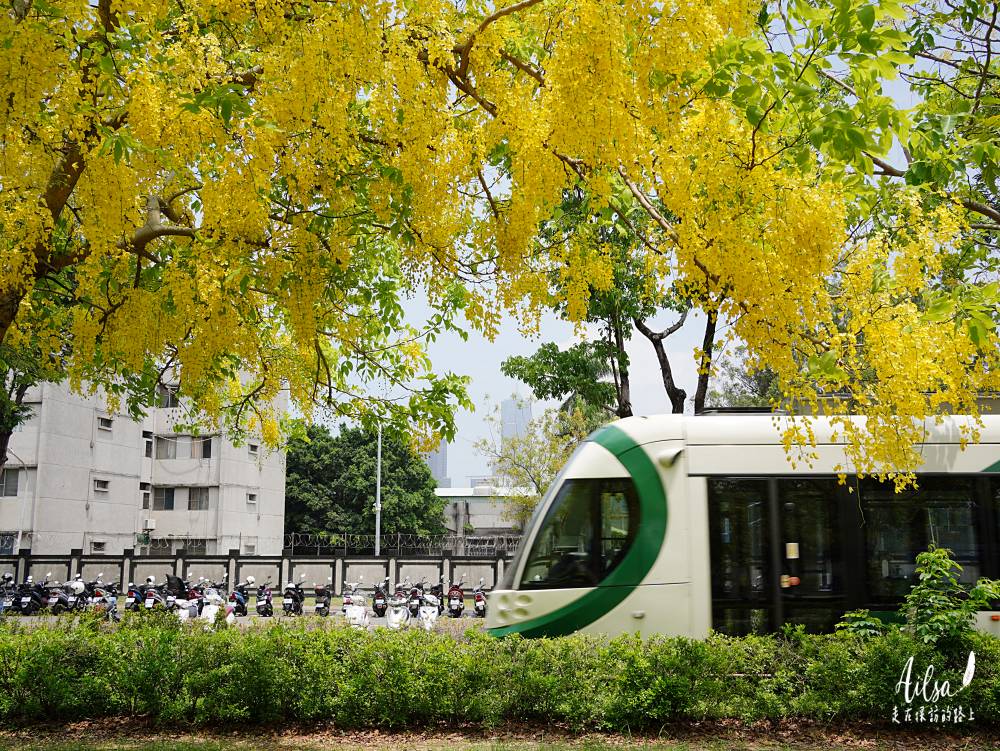 高雄追花季│夏季黃金雨 搭著捷運輕軌拍阿勃勒 輕鬆賞花去