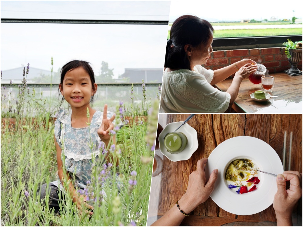 台南下營│拜訪養生香草園 一畝田香草莊園 還有療癒系貓咪