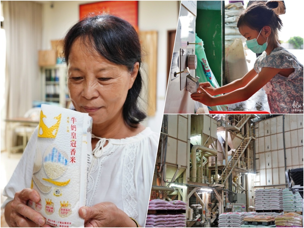 台南下營│這裡的田間藏著億元碾米工廠 來弘昌碾米廠大開眼界嘍