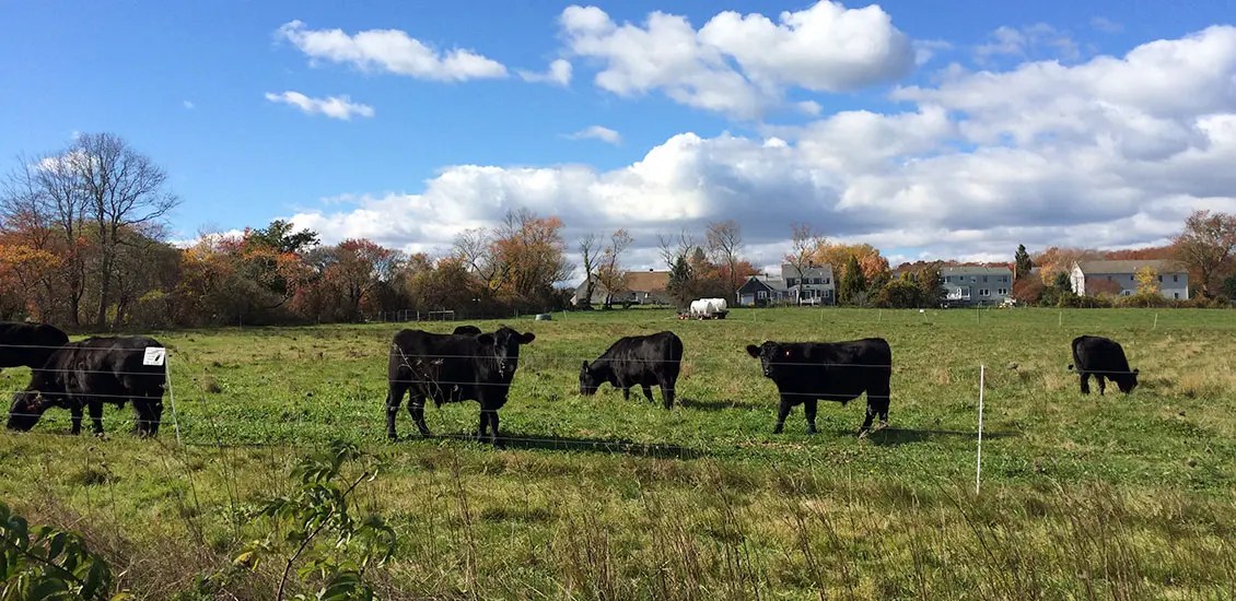 Aquidneck Land Trust Aquidneck Land Trust