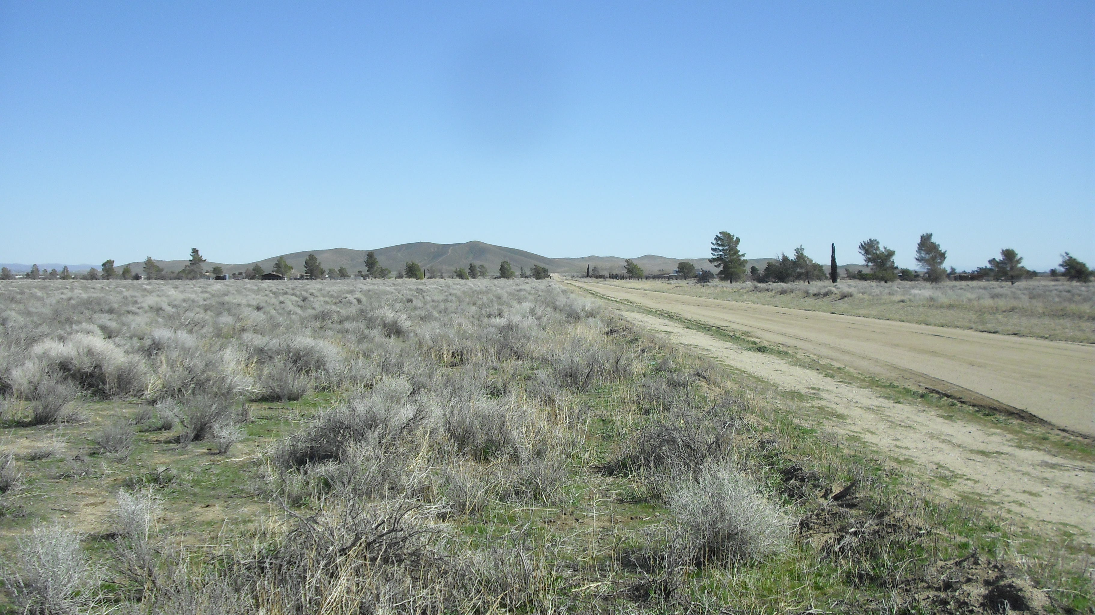 10 Acre Land For Sale, West Lancaster, Fairmont area, Los Angeles