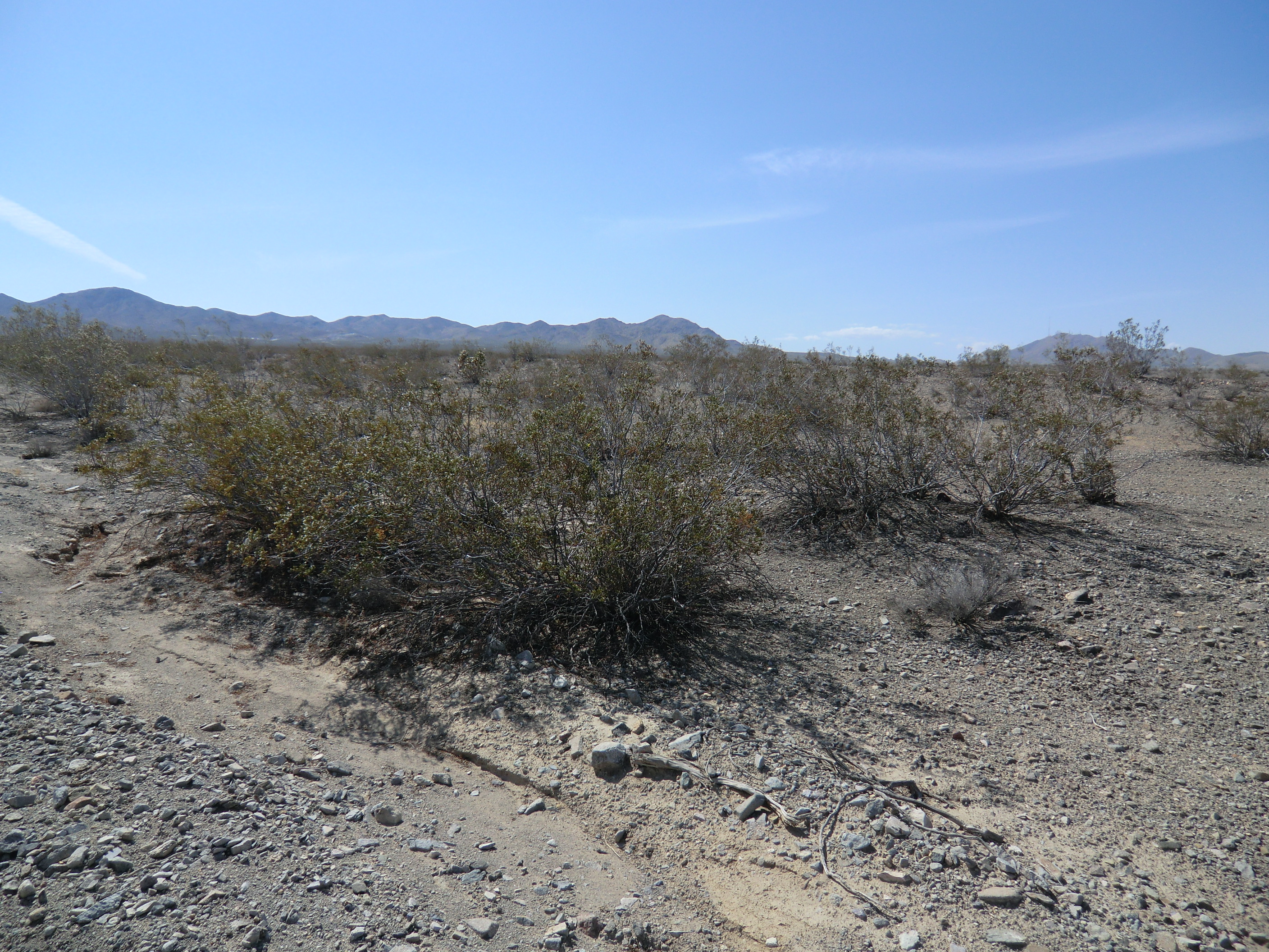 20 Acre Vacant Land in Oro Grande, San Bernardino County, CA 92368