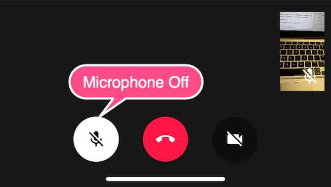 3. Unmute Microphone inside Apps