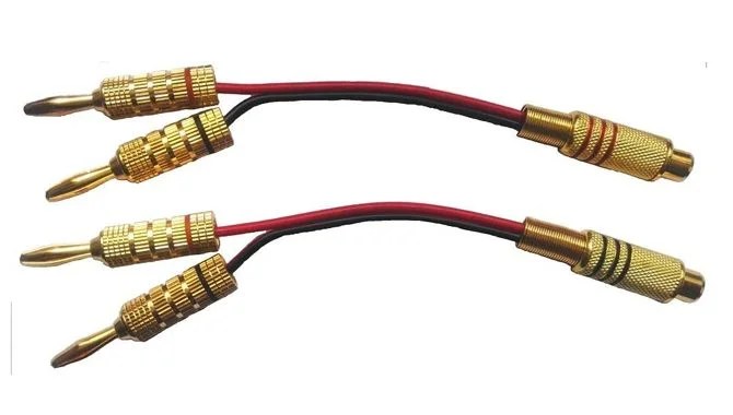 Can Banana Plug Go Into RCA?