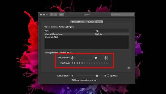 Check The Microphone Connection
