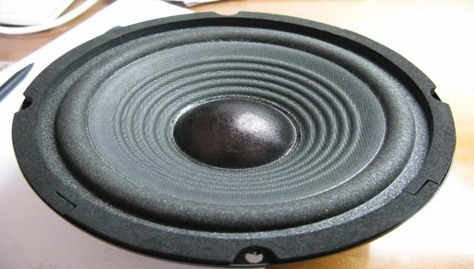 Here is the step by step procedure to clean a speaker cone.