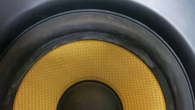 When Do You Need To Clean Your Speaker Cone. jpg