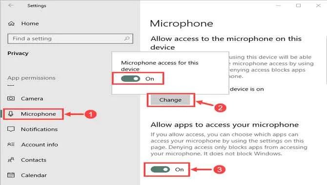 Wrong Microphone Device Settings
