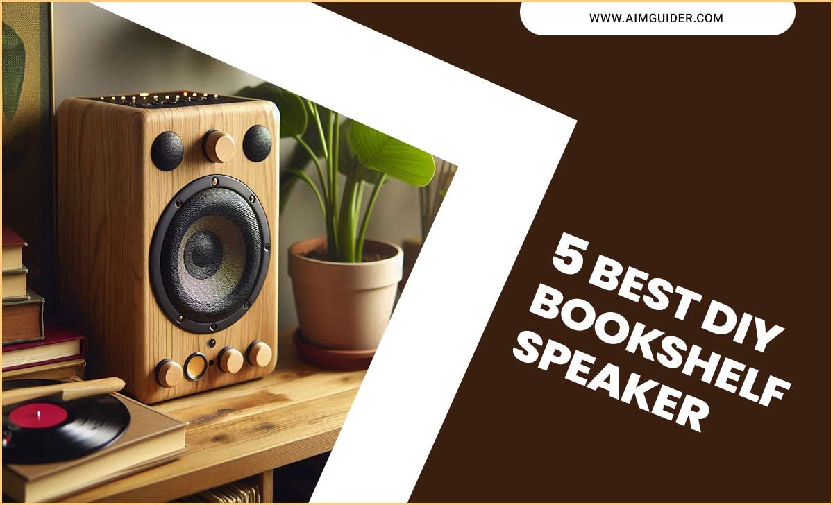 5 Best DIY Bookshelf Speaker
