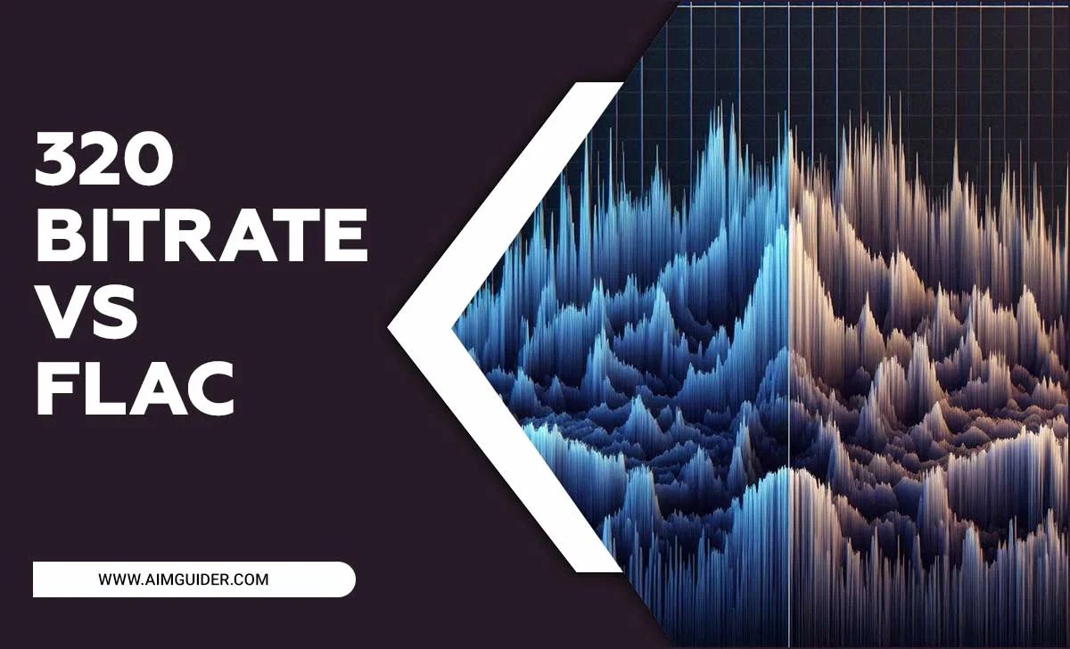320 Bitrate Vs FLAC