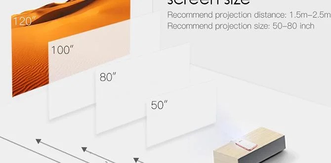how to choose screen size 2025