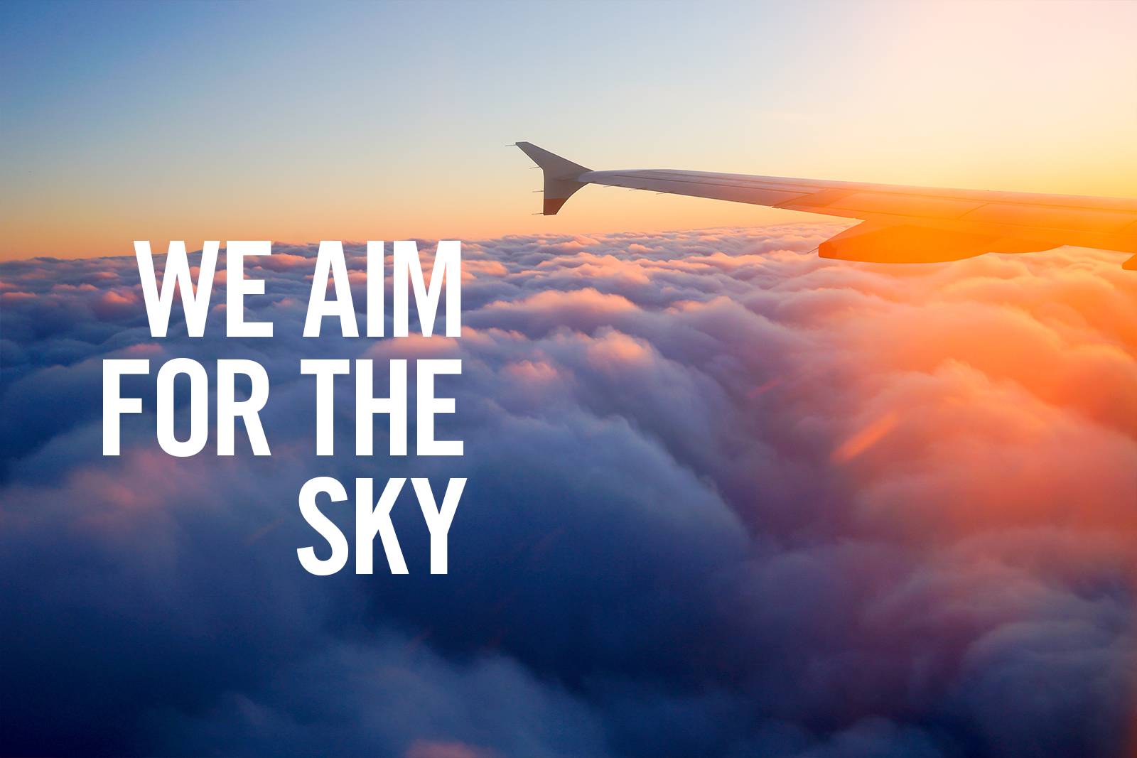 AIM Sweden launches its website AIM Sweden