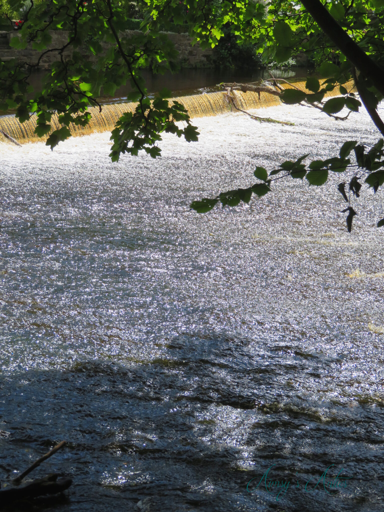Rive Nedd - A day out in knaresborough