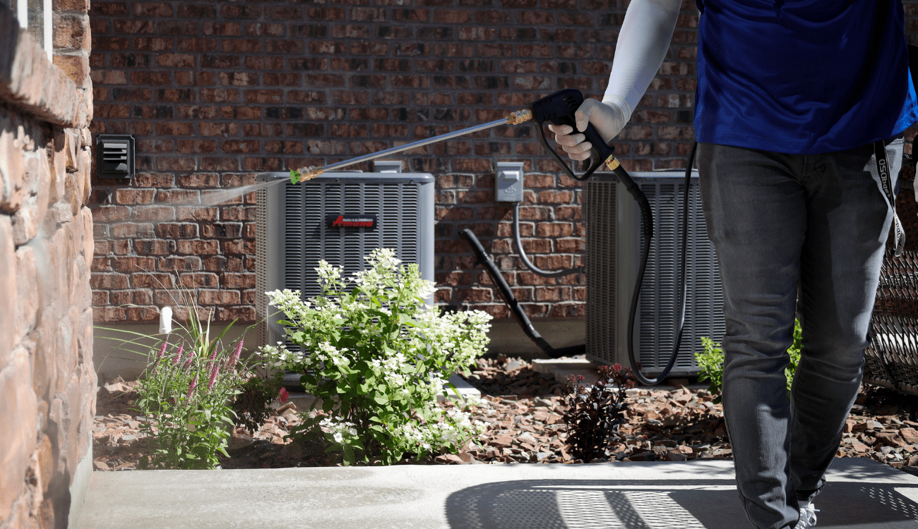 High Quality Pest Control Service in Kansas City, MO & KS AIMVO