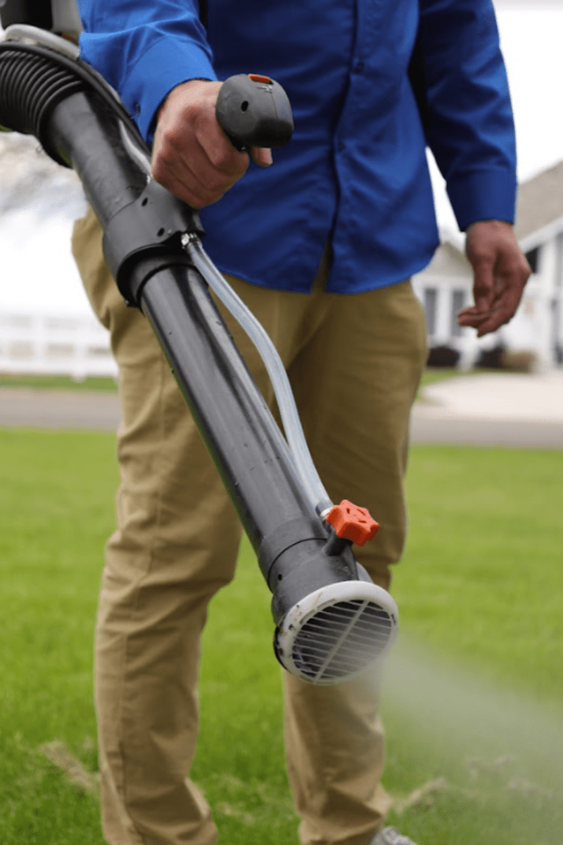 High Quality Pest Control Services in Denver, CO AIMVO