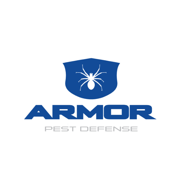 Learn More About Who We Are AIMVO