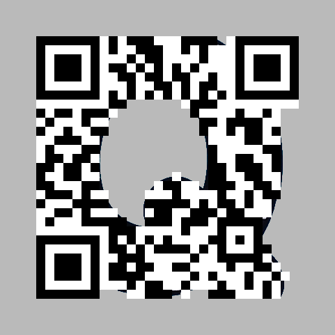 Decoding a partial QR code
