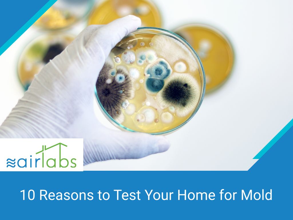 10 Reasons To Test Your Home For Mold Airlabs
