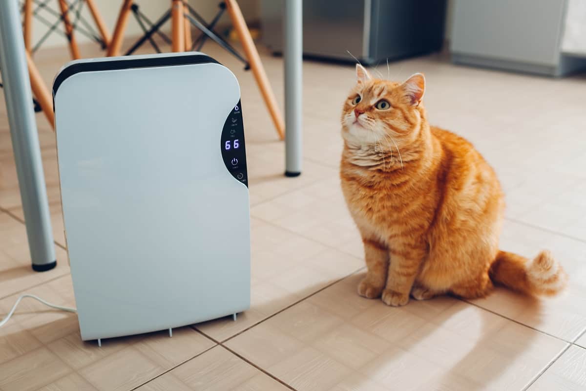 Best Air Purifier for Pets of 2020 Complete Reviews with Comparison