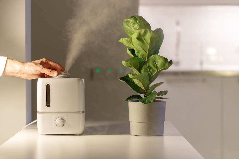 Difference Between Air Purifier and Humidifier Air Purifiers