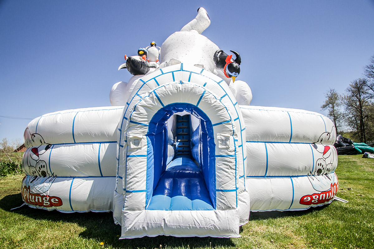 Polar Bear Slide Air Bounce Inflatables & Party Rentals in Hamilton