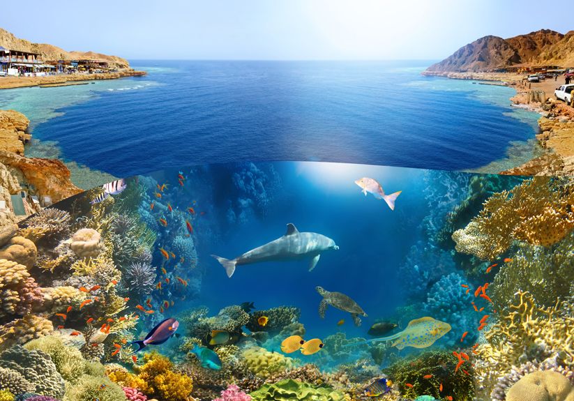 Best destinations to visit in Egypt this fall