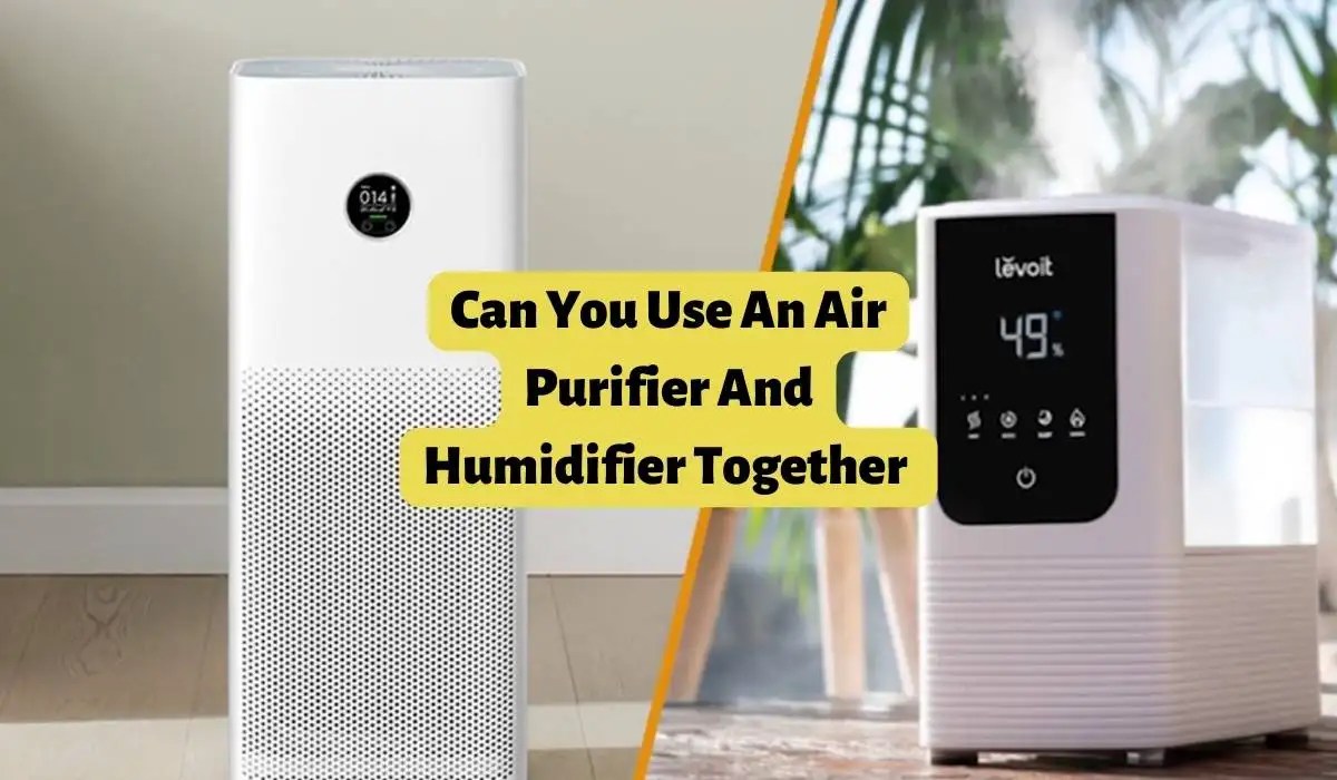 Can You Use An Air Purifier And Humidifier Together In The Same Room