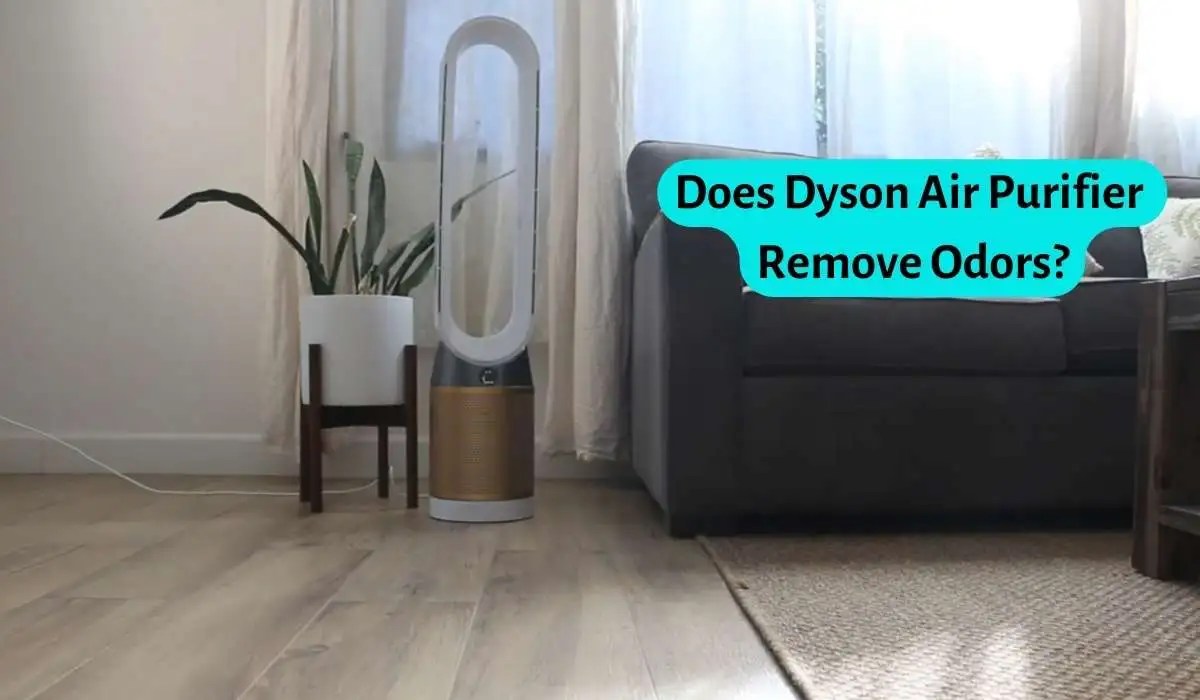Does Dyson Air Purifier Remove Odors Know Before You Buy