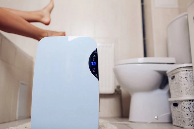 Best Air Purifiers for Bathroom Odor Elimination