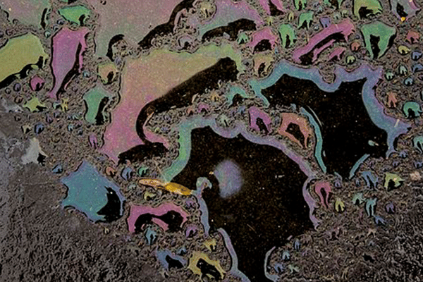 Oil and Water Don't Mix - Air Compressor Works, Inc.