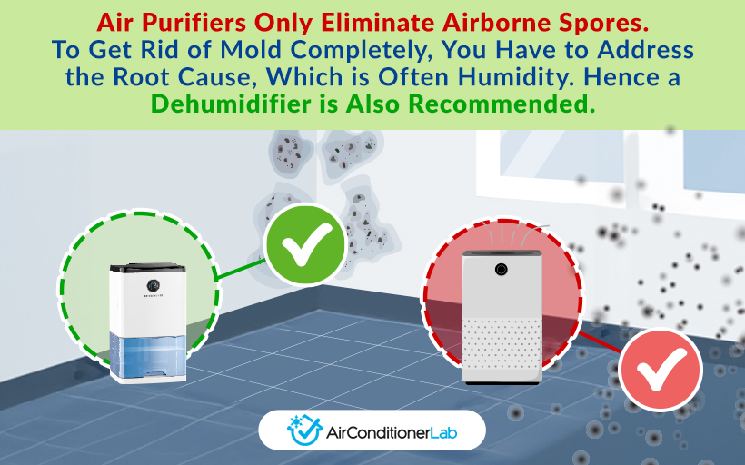Where To Place Your Air Purifier (For Maximum Results!)