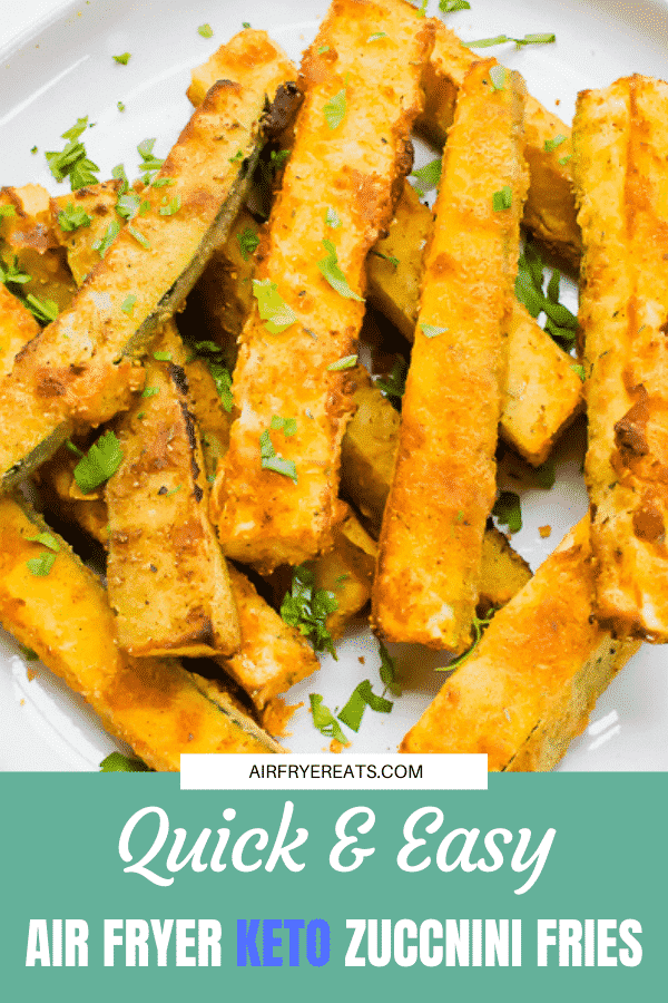 Air Fryer Keto Zucchini Fries (Low Carb) Air Fryer Eats