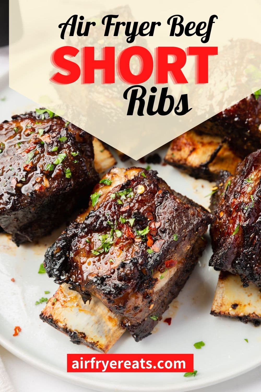 Air Fry Beef Short Rib Air Fryer Eats