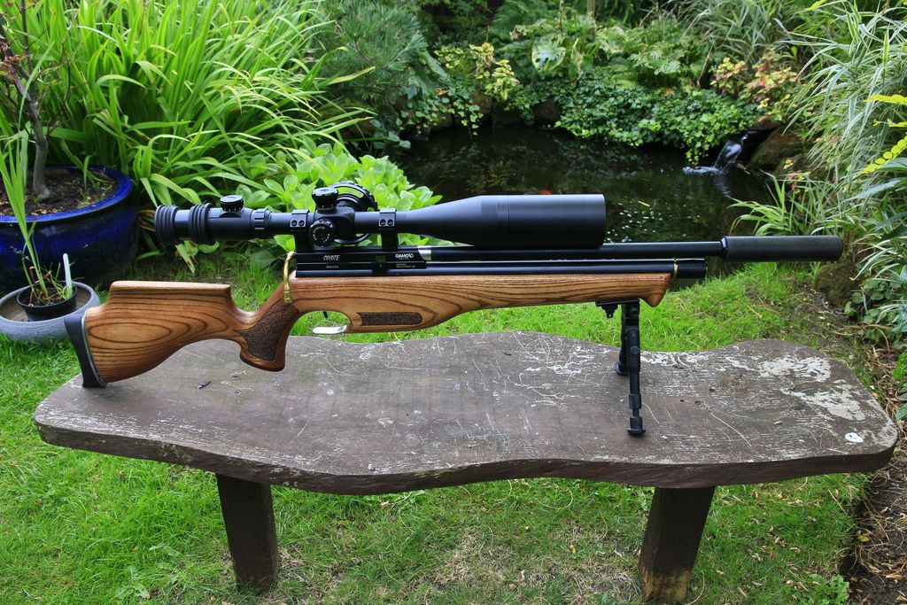 Quietest Air Rifle Top 23 Silent Guns for Hunting (Reviews and Buying